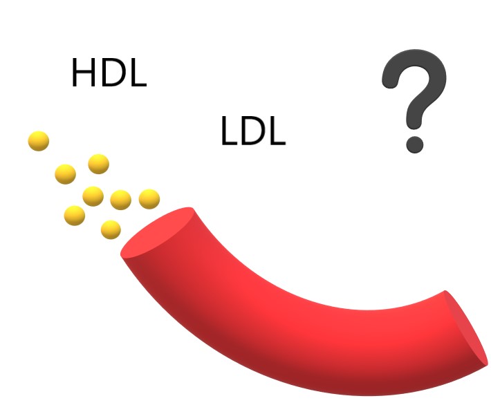 CHOLESTEROL DANGEREUX ?